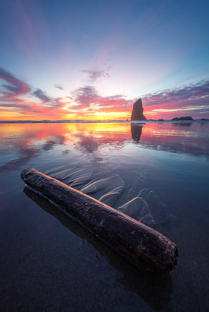Driftwood and Sunset Reflection